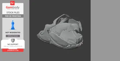 Dunkleosteus Skull - Skull Replica STL