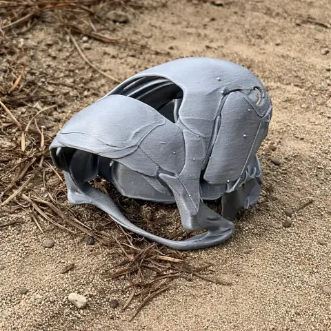 3D-printed gray Dunkleosteus skull replica resting on sandy ground.