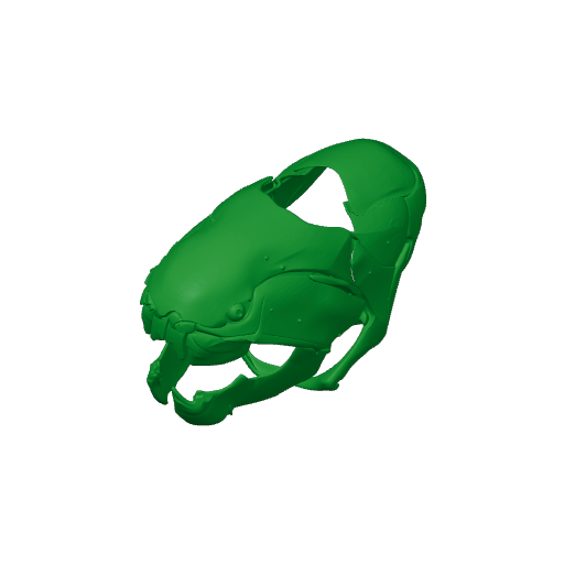 Dunkleosteus Skull.3mf