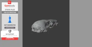 Dusky Antechinus Skull - Skull Replica STL
