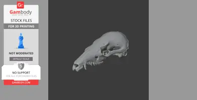 Dusky Antechinus Skull - Skull Replica STL