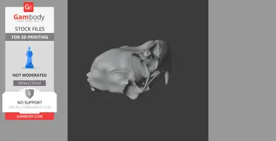 3D model of an eagle skull, detailed and ready for 3D printing.