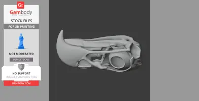 3D model of a detailed eagle skull, side view, showing intricate bone structure for 3D printing.