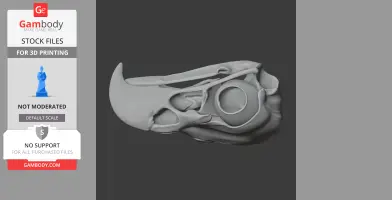 3D model of an eagle skull, showcasing detailed bone structure for 3D printing.