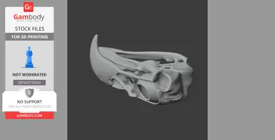3D model of an eagle skull, featuring detailed bone structure and prominent beak.