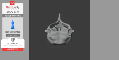 3D model of an eagle skull, viewed from above, showcasing detailed bone structure.