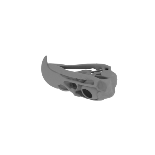 Eagle Skull.stl