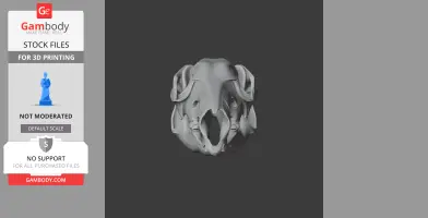 Eastern Grey Kangaroo skull 3D model for printing, front view on a dark background.