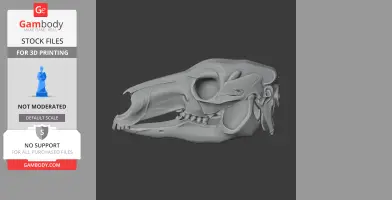 3D model of an Eastern Grey Kangaroo skull, showing detailed bone structure for 3D printing.