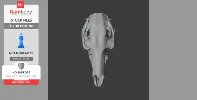 Top view of a 3D model of an Eastern Grey Kangaroo skull on a dark background.