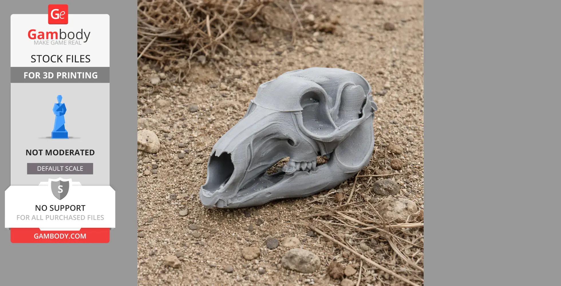 3D-printed Eastern Grey Kangaroo skull replica on rocky ground, showcasing detailed skull structure.