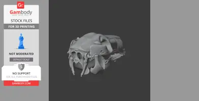 3D render of an Eastern Grey Kangaroo skull replica, designed for 3D printing.
