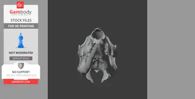 3D model of an Eastern Grey Kangaroo skull, displayed front view, suitable for 3D printing.