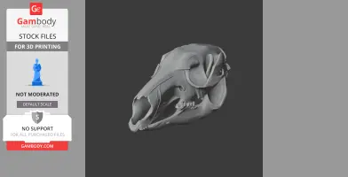 3D model of an Eastern Grey Kangaroo skull, detailed and ready for printing.