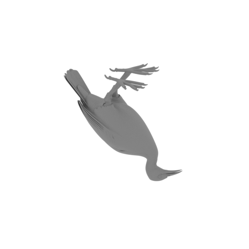 Rail Bird.stl