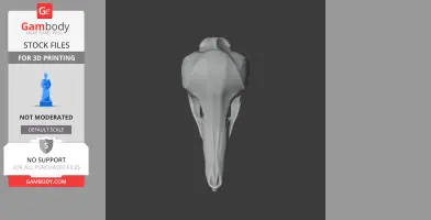 Eastern Long-beaked Echidna Skull - Skull Replica STL
