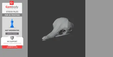 Eastern Long-beaked Echidna Skull - Skull Replica STL