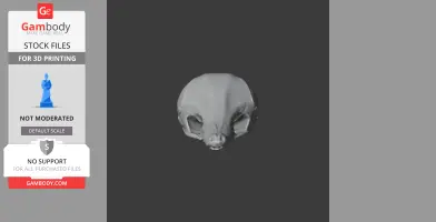 Eastern Long-beaked Echidna Skull - Skull Replica STL