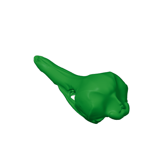 Eastern Long-beaked Echidna Skull.3mf