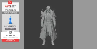 Bard - Lost Ark Figurine - Character Figure STL