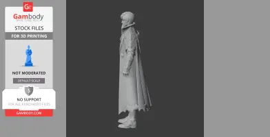 Bard - Lost Ark Figurine - Character Figure STL