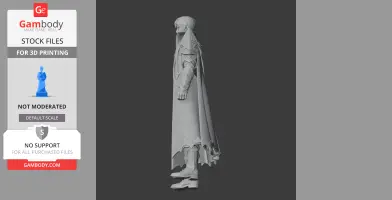 Bard - Lost Ark Figurine - Character Figure STL