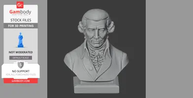 Joseph Haydn Bust - Historical Warrior STL