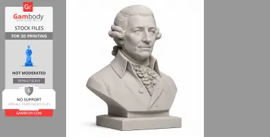 Joseph Haydn Bust - Historical Warrior STL