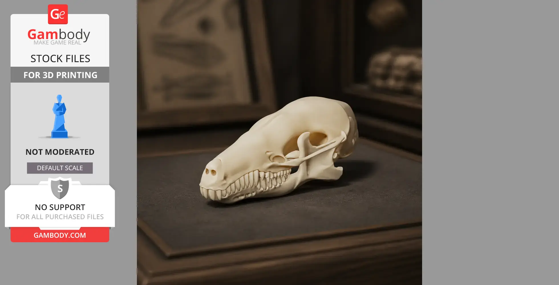 Eastern Mole Skull - Skull Replica STL