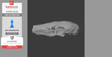 Eastern Mole Skull - Skull Replica STL