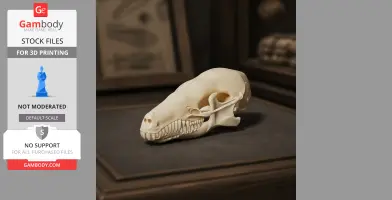 Eastern Mole Skull - Skull Replica STL