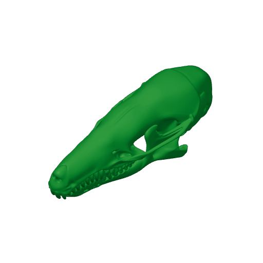 Eastern Mole Skull.3mf