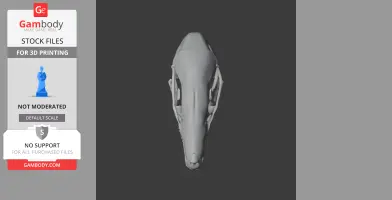 Eastern Mole Skull - Skull Replica STL