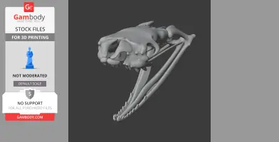 3D model of an Egyptian cobra skull, showcasing detailed bone structure and fangs.