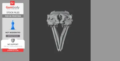 3D model of an Egyptian cobra skull with fangs and elongated jawbones, viewed from the front.