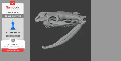 3D model of an Egyptian cobra skull, detailed with visible fangs and hollow eye sockets.