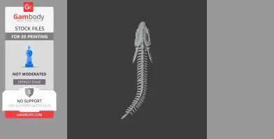Electric Eel Skull - Skull Replica STL