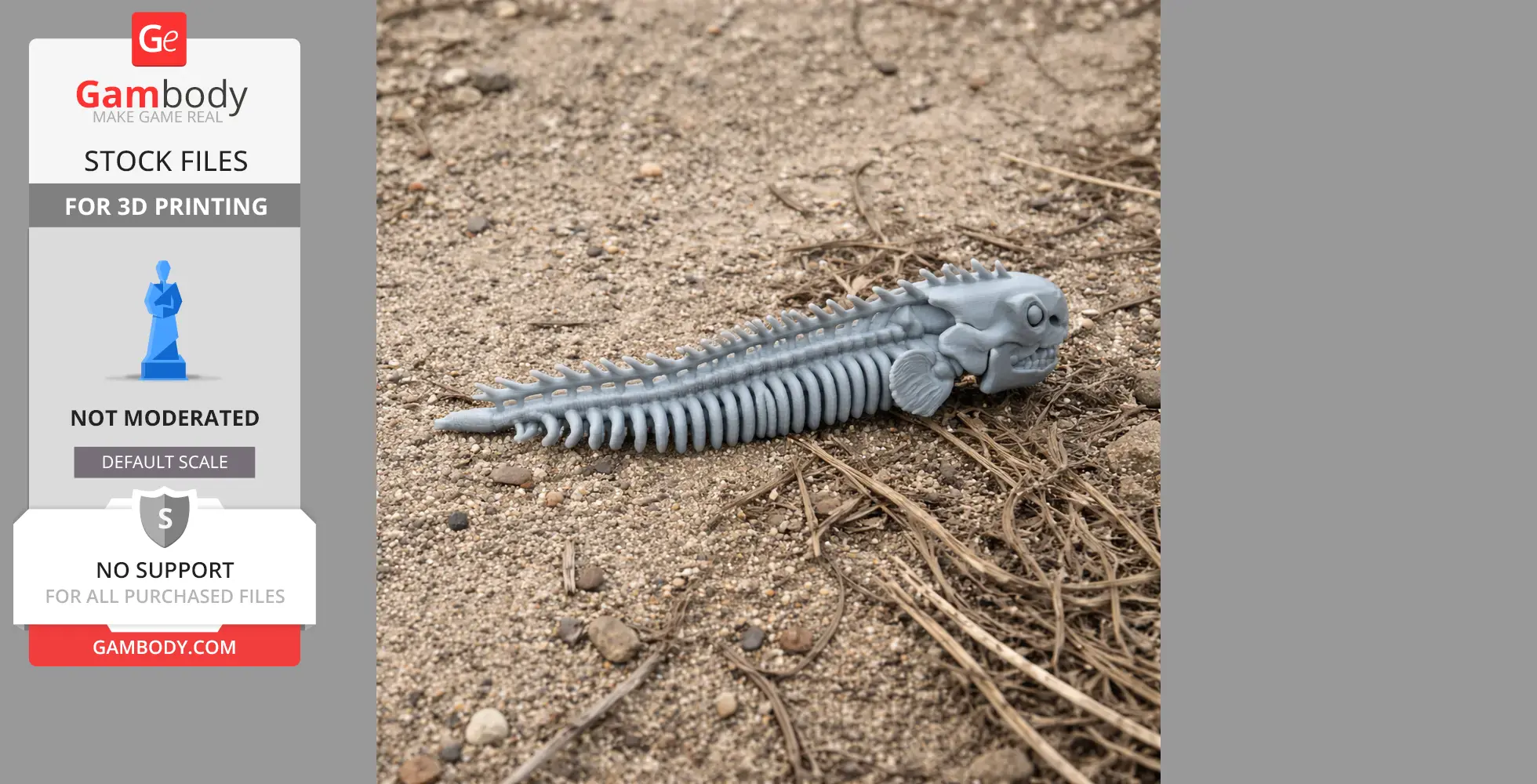 Electric Eel Skull - Skull Replica STL