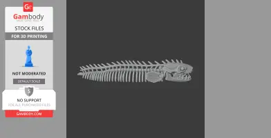 Electric Eel Skull - Skull Replica STL