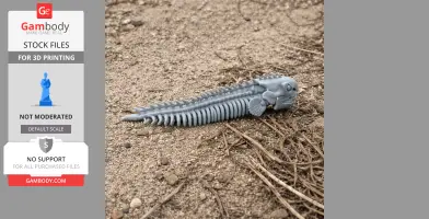 Electric Eel Skull - Skull Replica STL