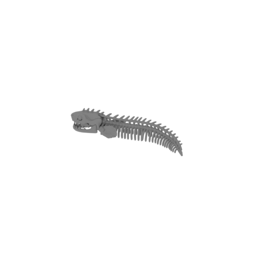 Electric Eel Skull.stl