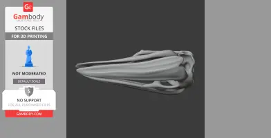 Elephant Bird (Aepyornis) Skull - Skull Replica STL