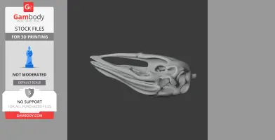 Elephant Bird (Aepyornis) Skull - Skull Replica STL