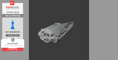 Elephant Bird (Aepyornis) Skull - Skull Replica STL
