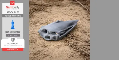 Elephant Bird (Aepyornis) Skull - Skull Replica STL
