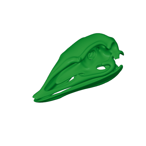 Elephant Bird (Aepyornis) Skull.3mf