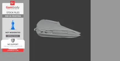 Elephant Bird (Aepyornis) Skull - Skull Replica STL