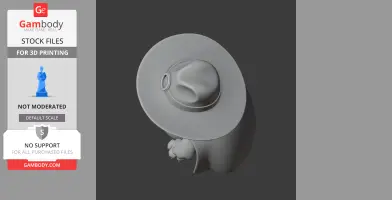 A 3D figure of a cartoon cat wearing a wide-brimmed hat, resembling a Zorro-style character.