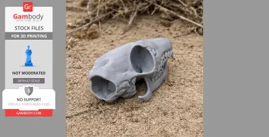Elephant Shrew Skull - Skull Replica STL