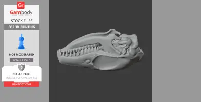 Elephant Shrew Skull - Skull Replica STL